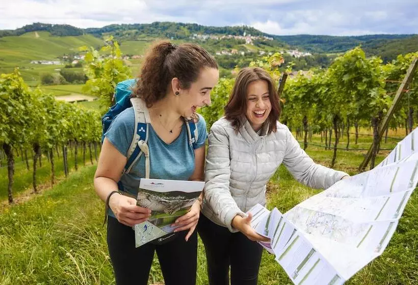 Flair Hotel Landgasthof Roger