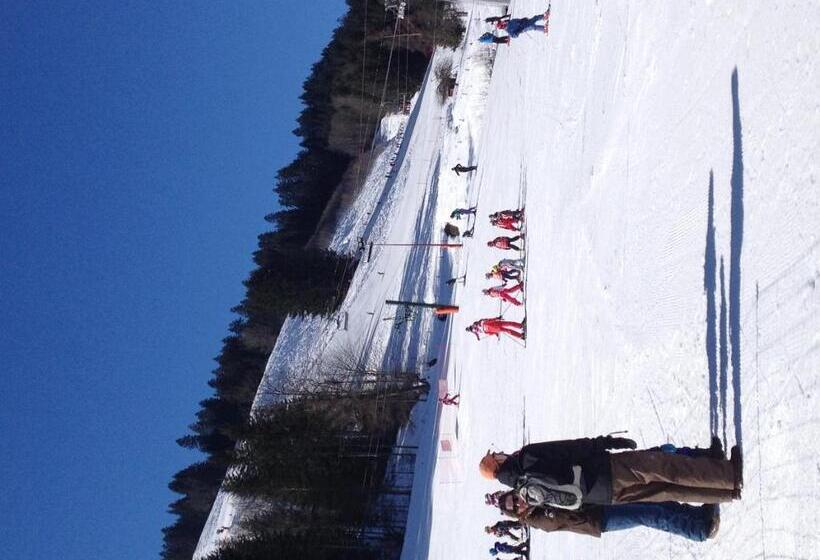 Отель Hôtel L Ensoleillé