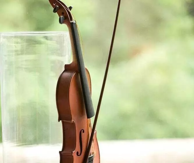 酒店 Hôtel Le Rivalet