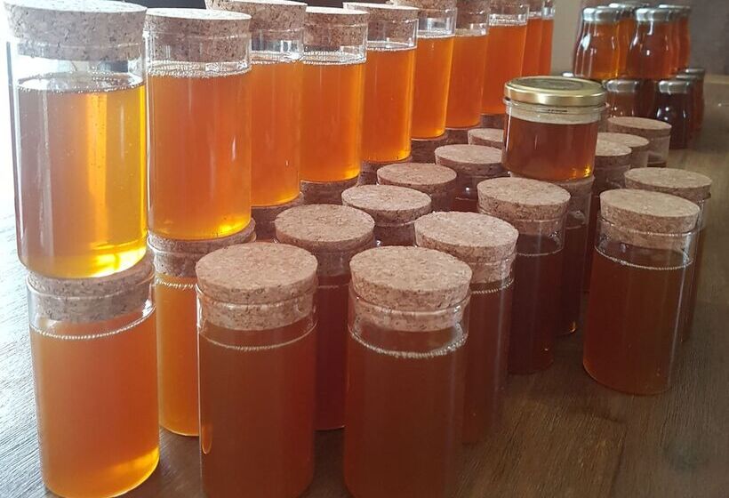 בית מלון כפרי La Pêcherie