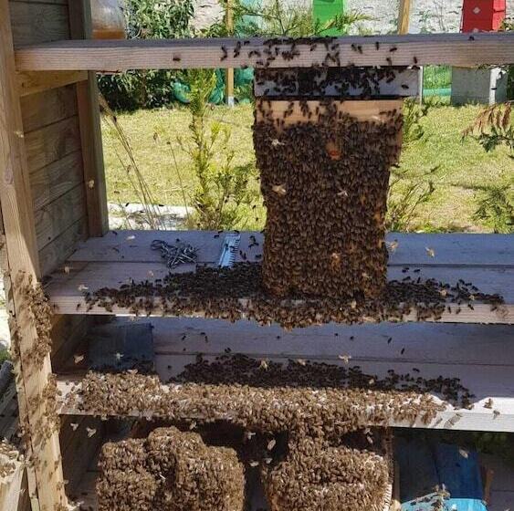 בית מלון כפרי La Pêcherie