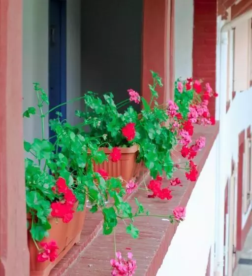 Отель Domaine St Ferreol