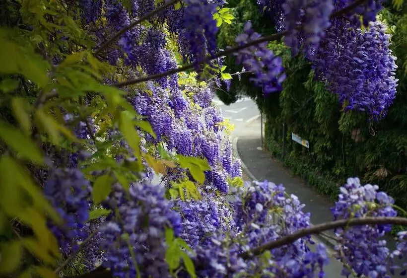 هتل Albergo Ristorante Madonnina