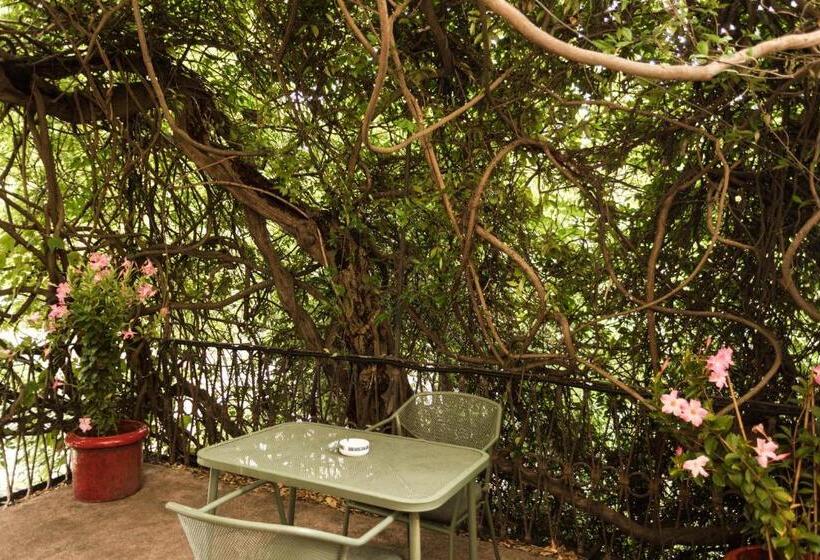 בית מלון כפרי Albergo Ristorante Madonnina