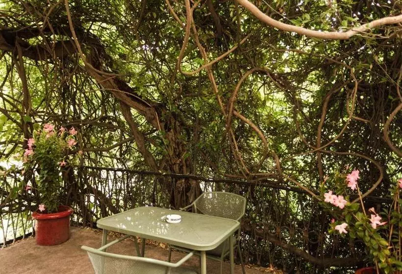 هتل Albergo Ristorante Madonnina