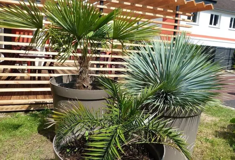 Отель Arbor  Les Hunaudieres  Le Mans Sud  Mulsanne