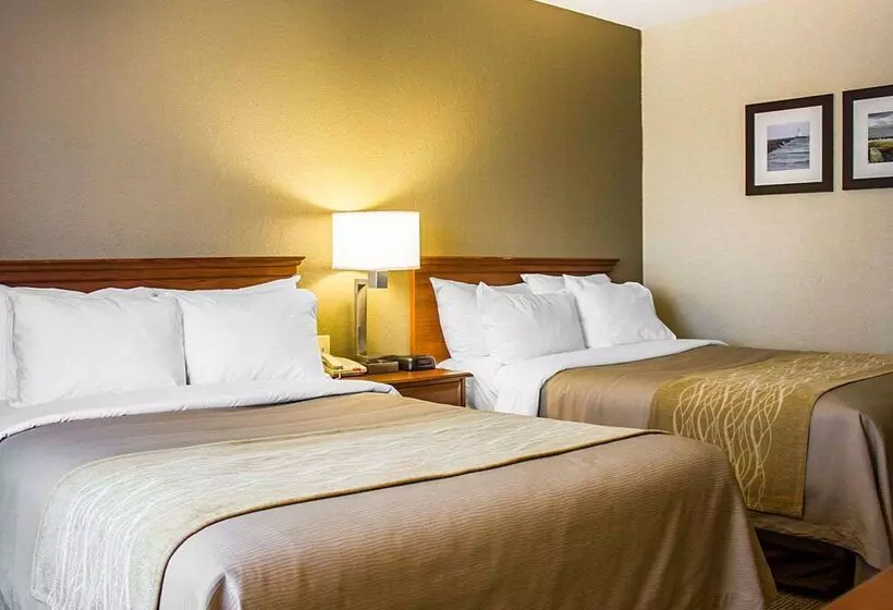 בית מלון כפרי Comfort Inn Guilford Near I95