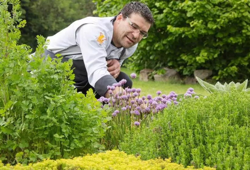 Отель Hôtel De France