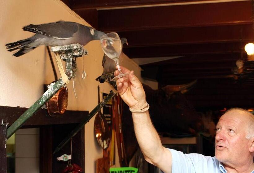 酒店 Hôtel Et Restaurant Du Col Osquich