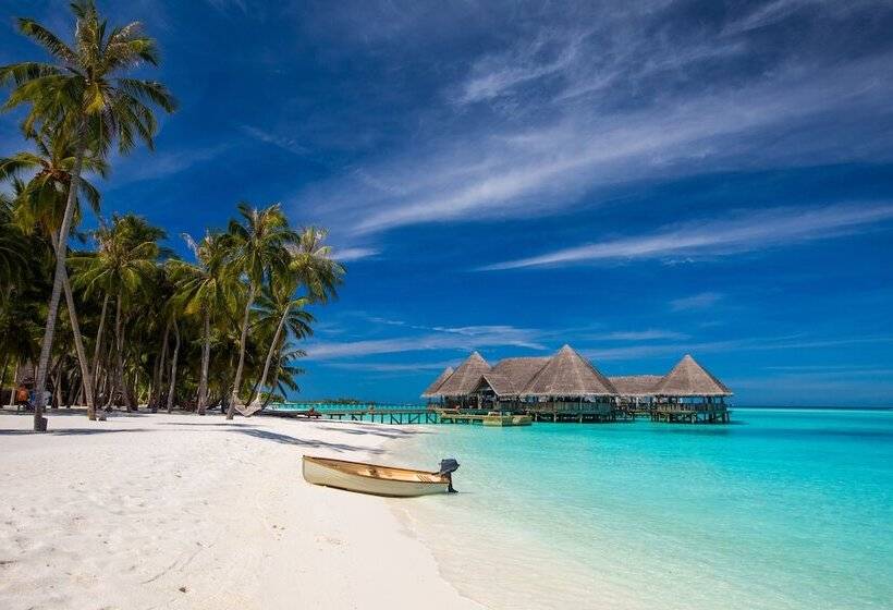 هتل Gili Lankanfushi Maldives