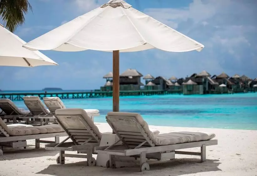 هتل Gili Lankanfushi Maldives