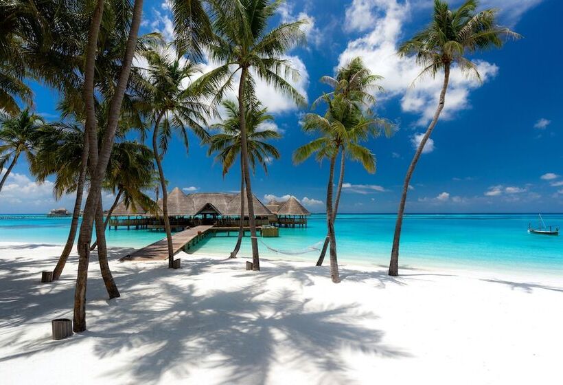 هتل Gili Lankanfushi Maldives