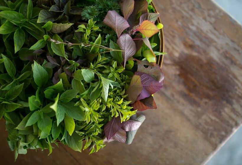 هتل Gili Lankanfushi Maldives