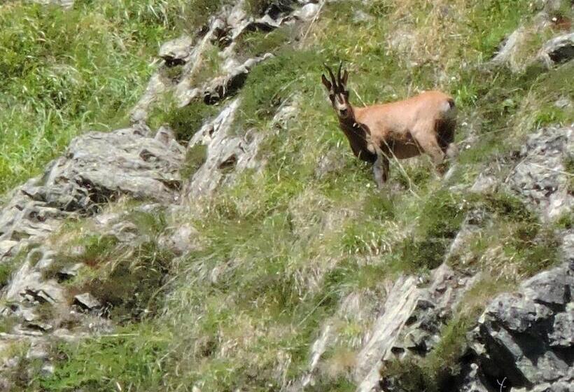 فندق Hostellerie De La Poste