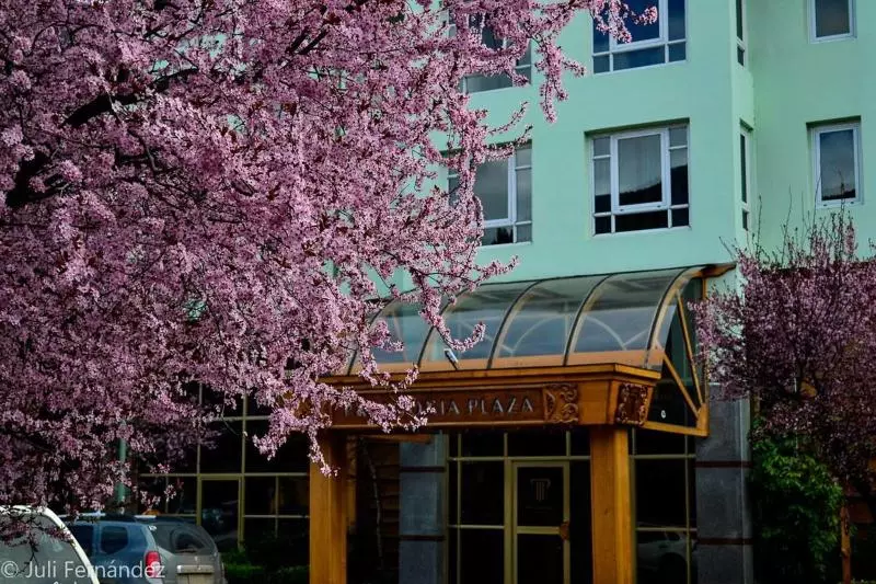 酒店 Patagonia Plaza