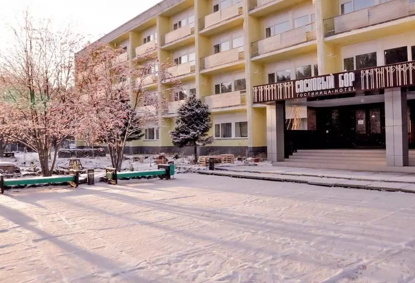 Hostelli Sosnoviy Bor