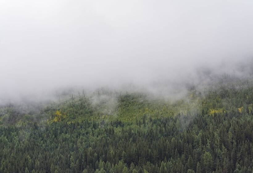 酒店 Campsite Altair