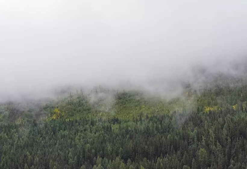 Hotelli Campsite Altair