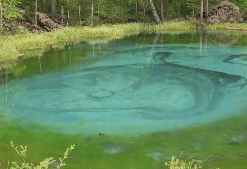 Hotelli Campsite Altair