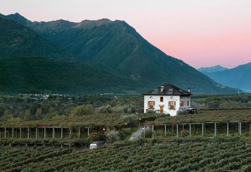 Hotelli Fattoria L'amorosa