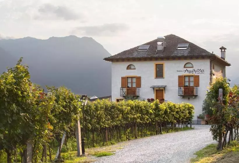 Hotelli Fattoria L'amorosa