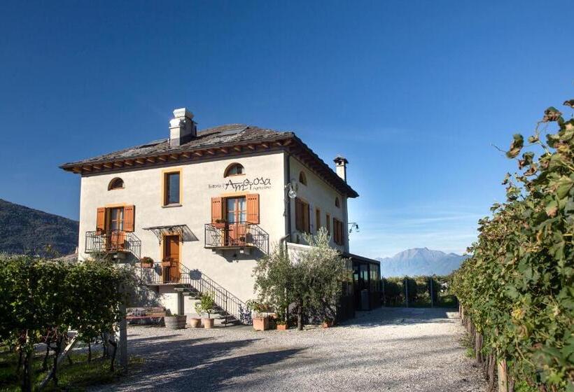 호텔 Fattoria L'amorosa