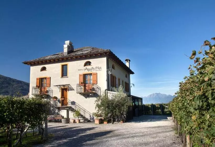 Hotelli Fattoria L'amorosa