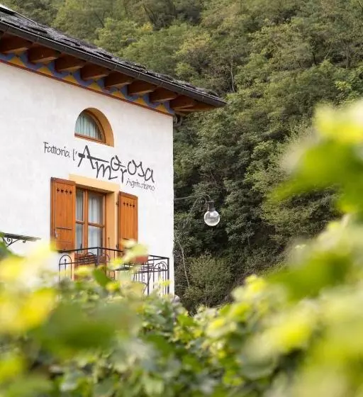 Hotelli Fattoria L'amorosa