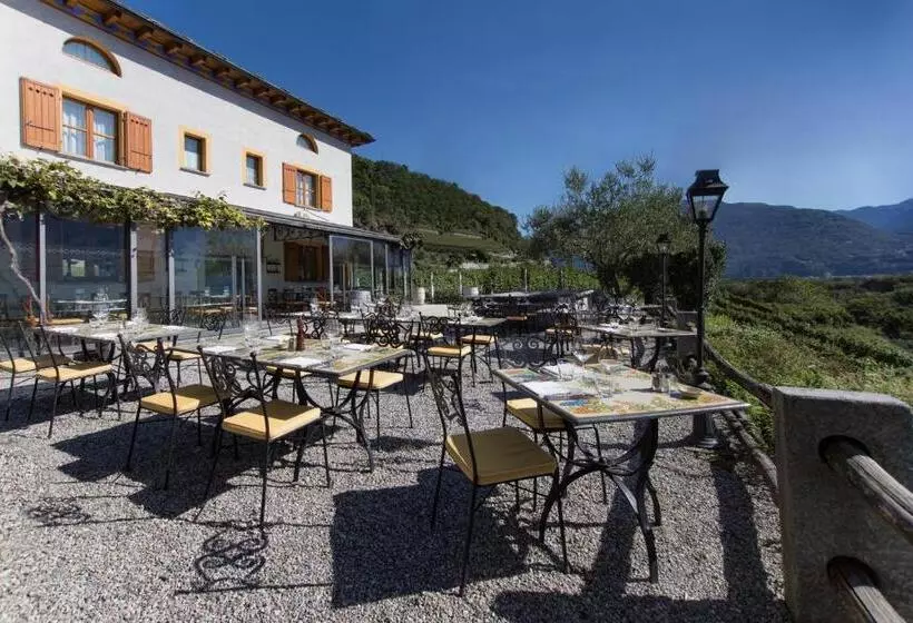 Hotelli Fattoria L'amorosa