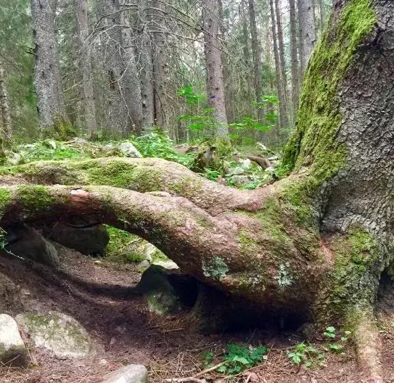 Majatalo Guest House Niya