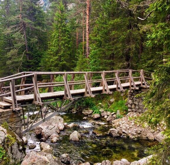 بنسيون Guest House Niya