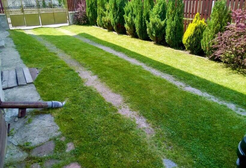 بنسيون Guest House Niya