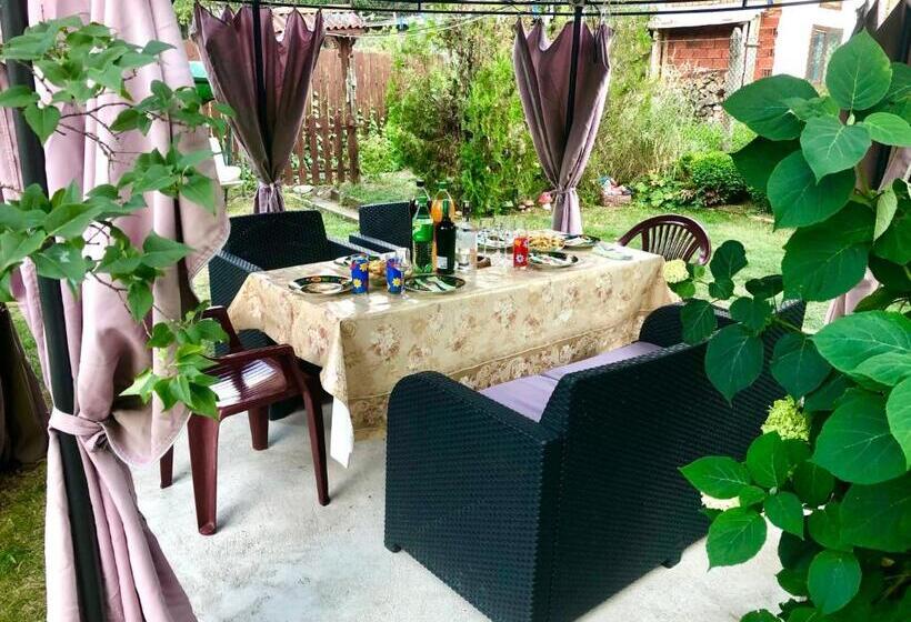 بنسيون Guest House Niya