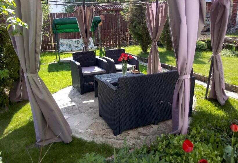 بنسيون Guest House Niya