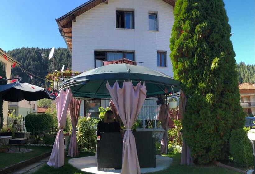 بنسيون Guest House Niya