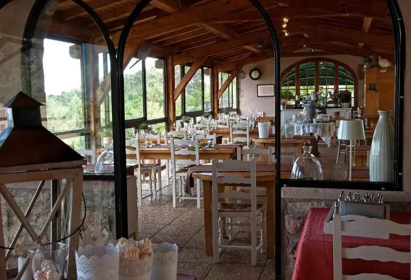 Отель Auberge De La Tour De Brison