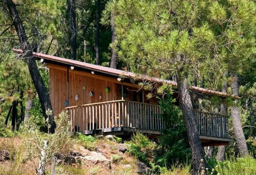 Отель Auberge De La Tour De Brison