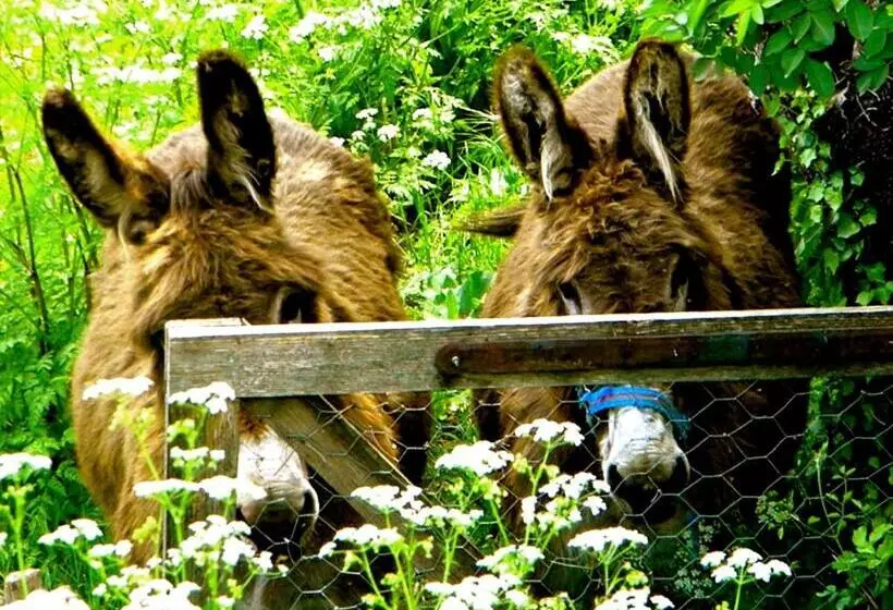 Отель Auberge De La Tour De Brison