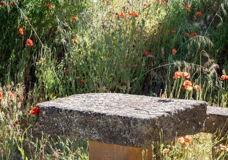 酒店 Hôtel Restaurant Le Colombier