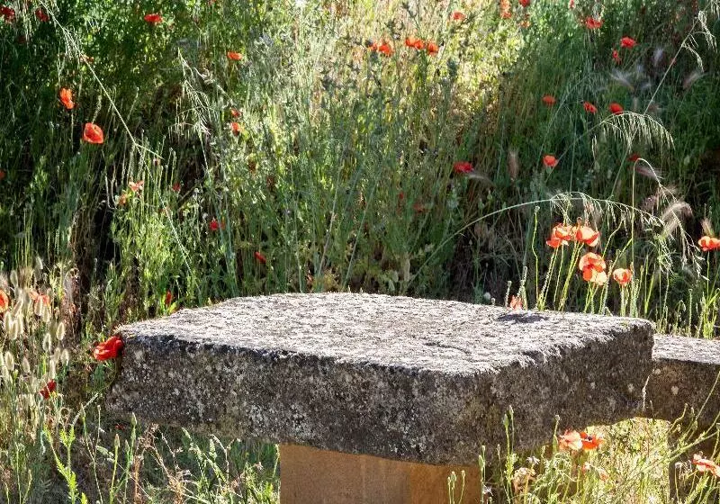 Отель Hôtel Restaurant Le Colombier