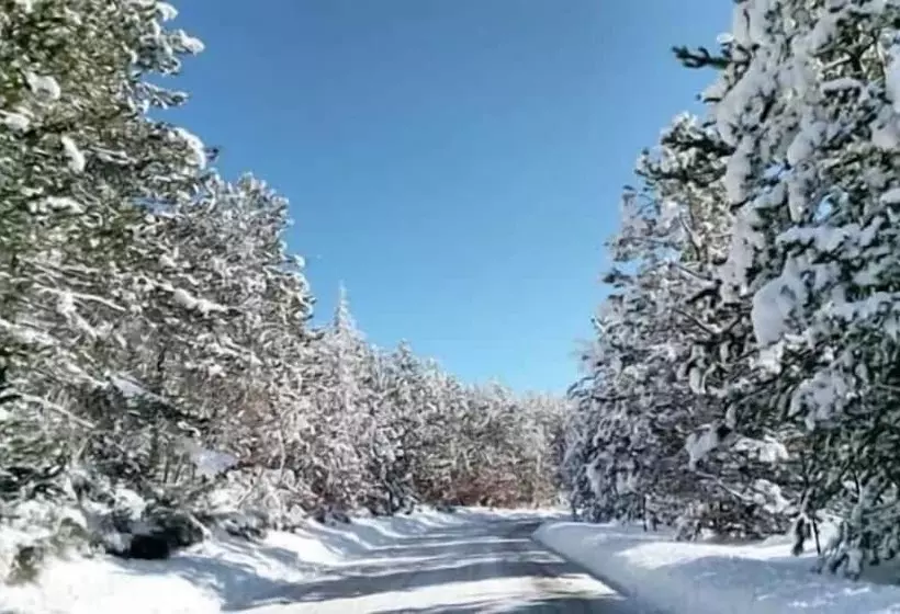 Aamiaismajoitus (B&B) Il Piccolo Tibet