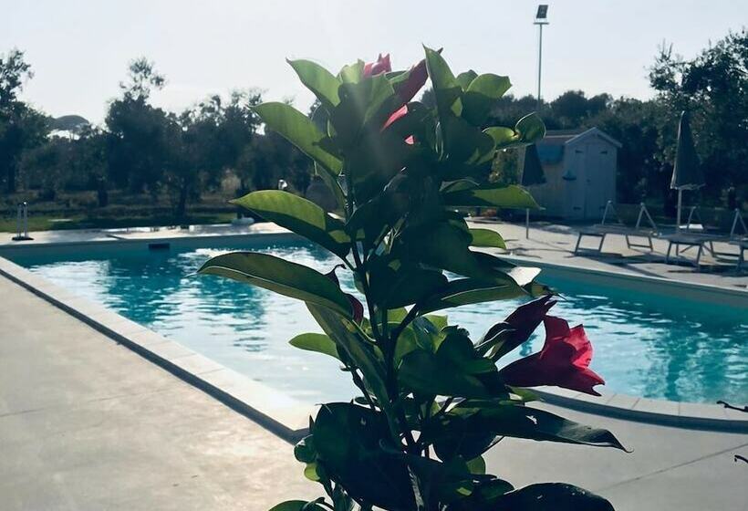 Bed and Breakfast Dimora Capasi