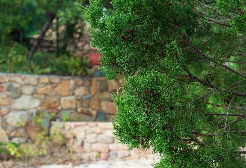 تختخواب و صبحانه Sa Guardia De Ferricci