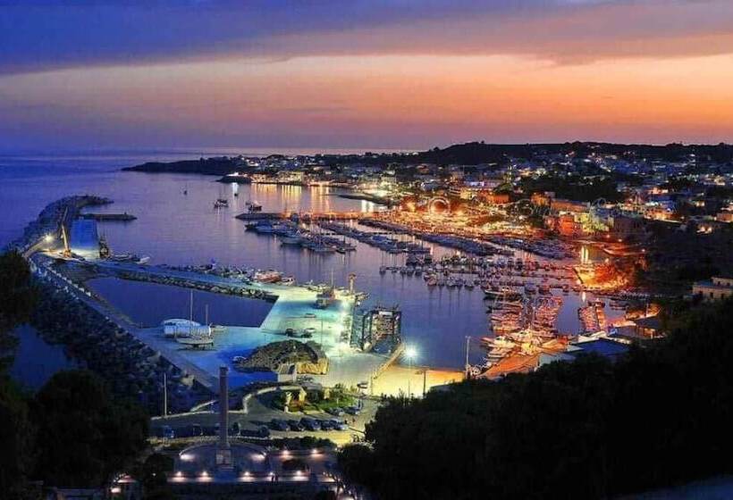 مبيت وإفطار Triple Room City Centre With Ac,wifi,garden,bike