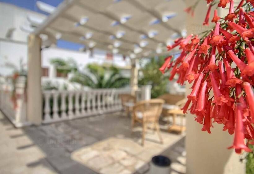 مبيت وإفطار Triple Room City Centre With Ac,wifi,garden,bike