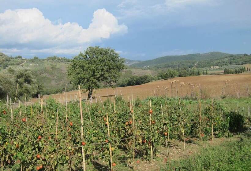 田舎風ホテル Agriturismo Podere Paugnano