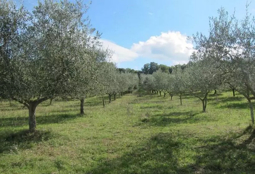 Maaseutuhotelli Agriturismo Podere Paugnano