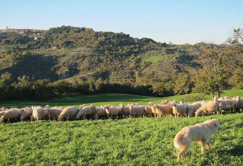 田舎風ホテル Agriturismo Podere Paugnano