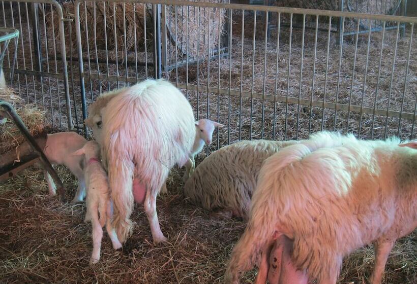 田舎風ホテル Agriturismo Podere Paugnano