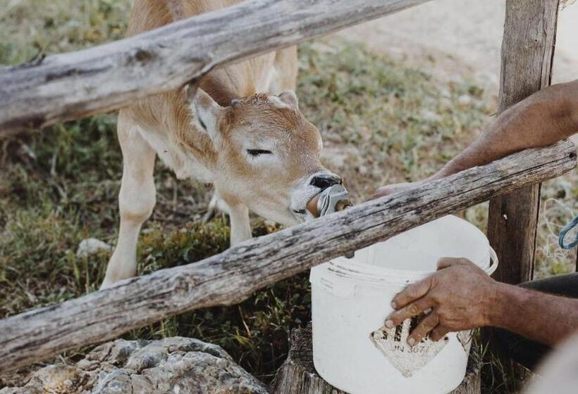 Agriturismo Bio Le Macchie Alte